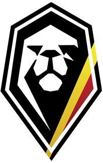 Belgium 0-Pres Alternate Logo v2 iron on transfers for clothing